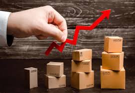 Gestion Financiera y Flujo de Caja PP0004