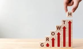 Estrategias de Crecimiento Acelerado PP0011